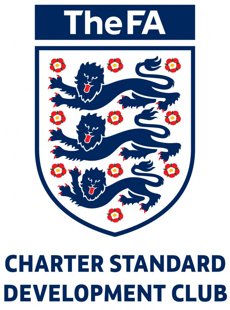 Charter Standard Standard Logo