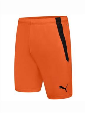 Puma Football Shorts