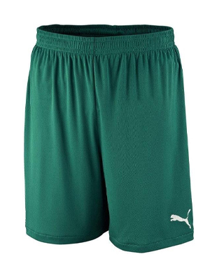 Puma Velize Clearance Short Green PU-98