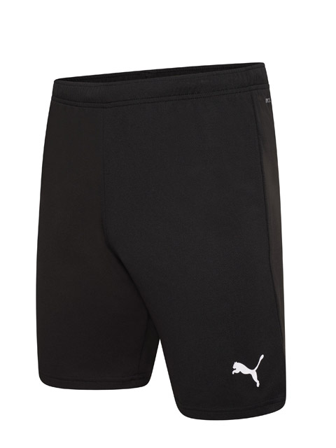 Puma Clearance Team Rise Football Short Black BX8