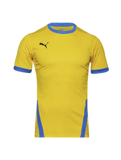 Puma teamGOAL 23 Clearance Jersey Cyber Yellow/Electric Blue CL101