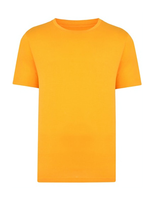 Plain Clearance T-Shirt - Amber