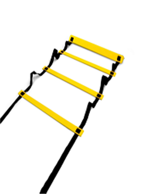 Precision Adjustable Speed Ladder