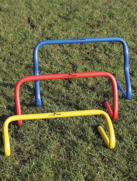 Precision Step Training Hurdle TR563