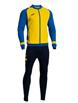 Yellow/Royal/Darknavy