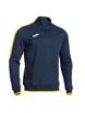 Darknavy/Yellow