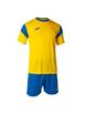 Yellow/Royal