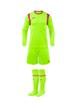 Yellowfluor/Roseviolet