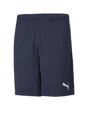 Puma Team Rise Training Shorts