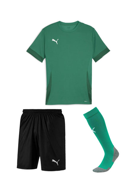 Puma Team Goal Matchday Strip