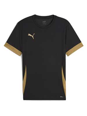 Puma Team Goal Match Day Jersey