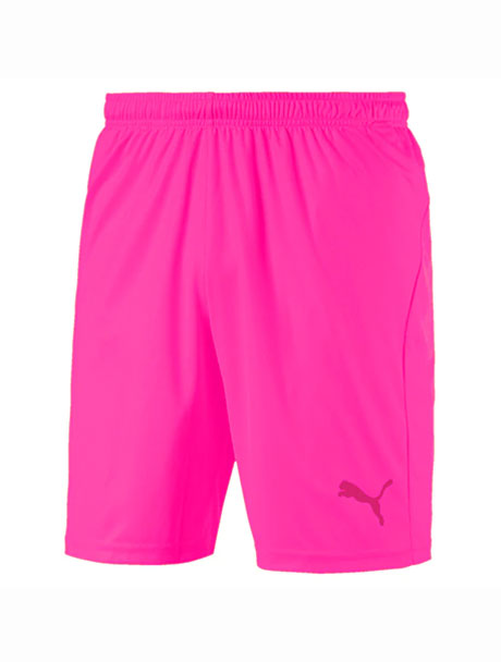 Puma Team Goal 23 Shorts