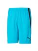 BlueAtoll/PumaBlack