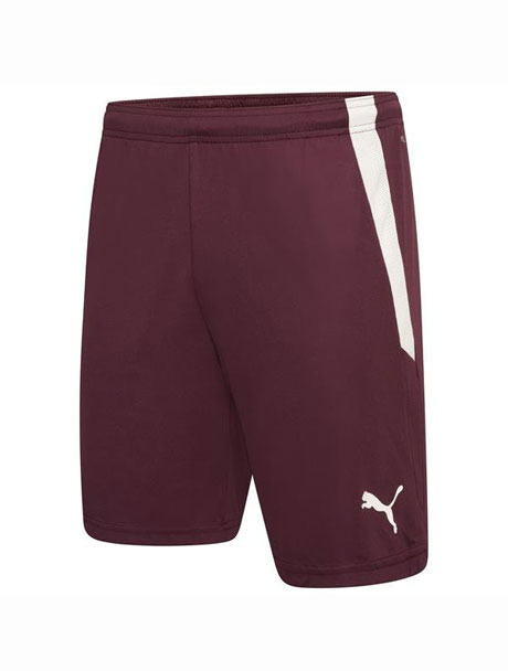 Puma Team Liga Shorts