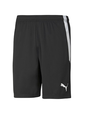 Puma Team Liga Goalkeeper Shorts