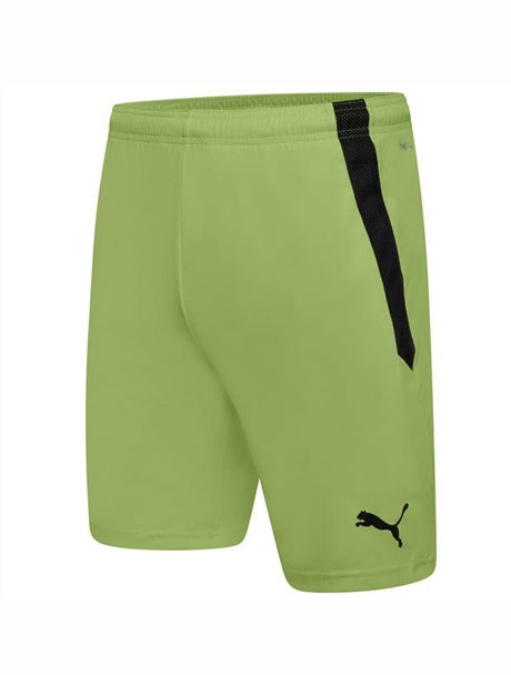 Puma Team Liga Goalkeeper Shorts