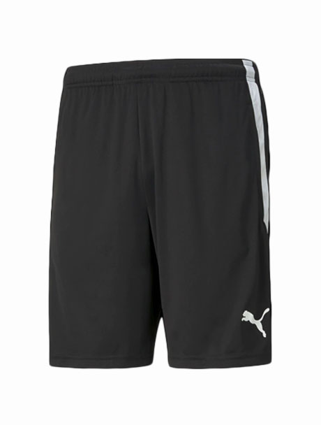 Puma Team Liga Training Shorts