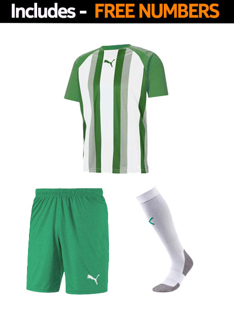 Puma Team Liga Striped Full Kit Set - Deal Price