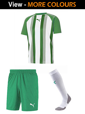 Puma Team Liga Striped Strip