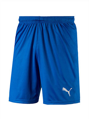 Puma Team Rise Football Shorts