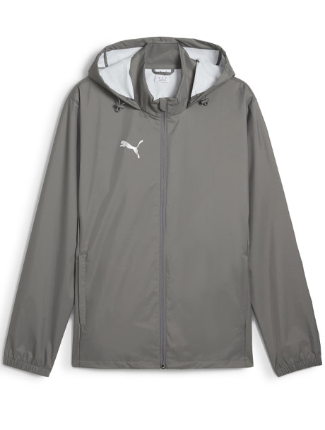 FlatMediumGrayPumaSilver