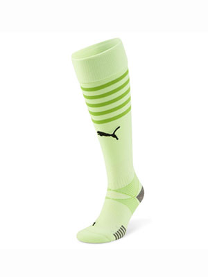 Puma Team Final Socks