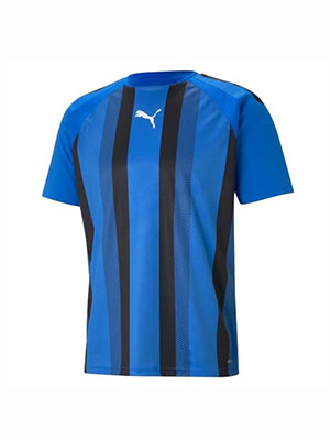 Puma Team Liga Striped Short Sleeve Shirt