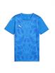 ElectroRoyal/PumaWhite