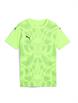 GreenGlare/PumaBlack