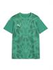 SportGreen/PumaWhite