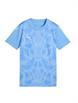 TeamLightBlue/PumaWhite