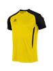 Yellow/Black