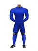 RoyalBlue