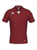 Maroon/White